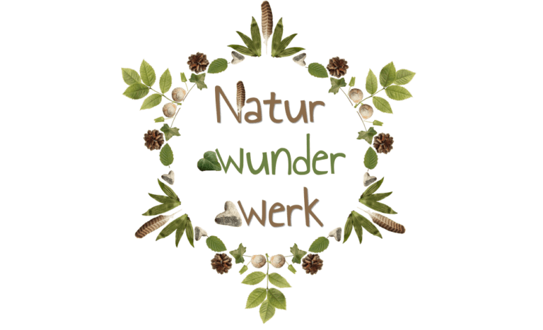 Anordnung von Blättern, Federn und Schneckenhäuser in Mandalaform