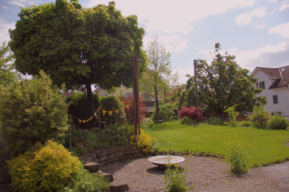 Mehr über den Artikel erfahren Von Wurzeln, Bäumen und deinem Garten – Warum du eine Vision für deine Selbstständigkeit brauchst