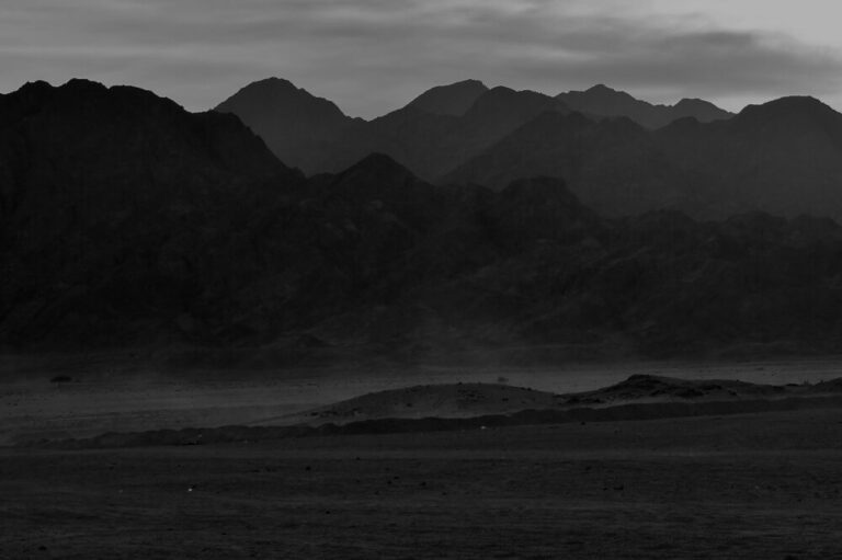 Mehr über den Artikel erfahren Sechs gute Gründe, keine Dark Patterns zu nutzen